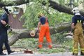 Feuerwehr_Baum   009